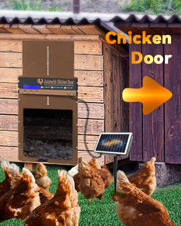 automatic chicken coop door