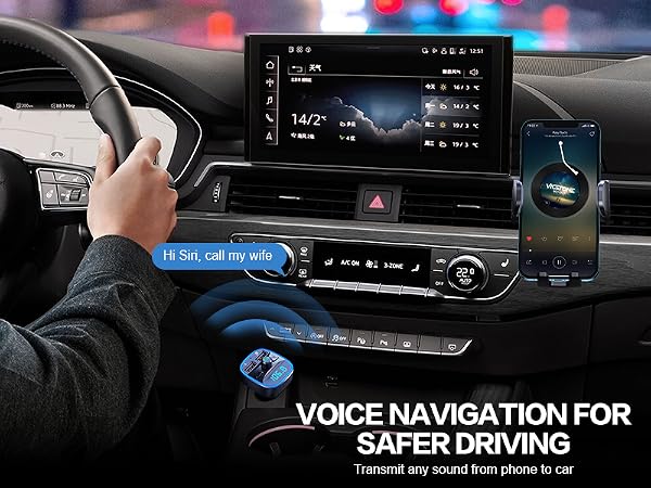 Voice Navigation