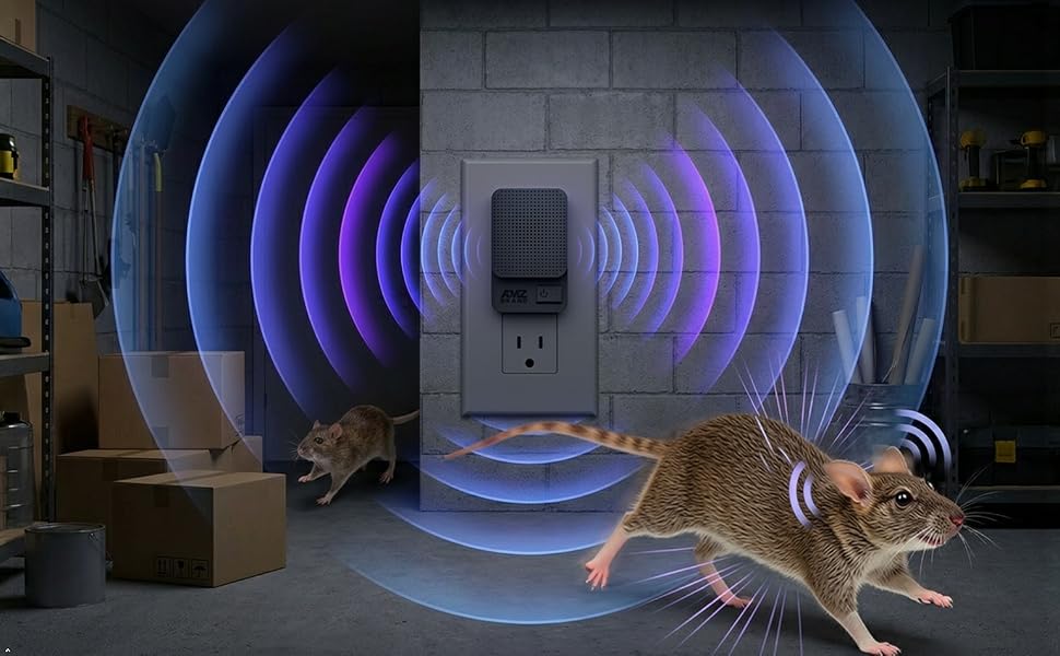 Rats running away from the ultrasonic device