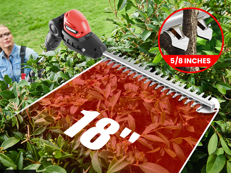 pole hedge trimmers cordless with battery
