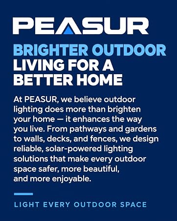 peasur solar lights