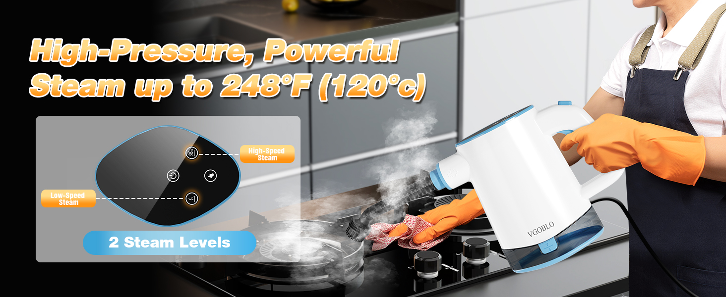 handheld steam cleaner