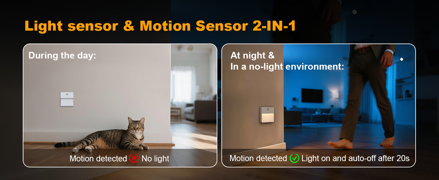 motion sensor light