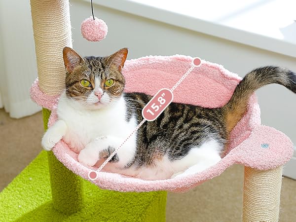 Cozy Hammock & Private Condo Large hammock and spacious condo offer comfort, naps for cats.