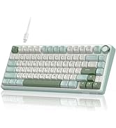 RK ROYAL KLUDGE R75 Mechanical Keyboard Wired with Volumn Knob, 75% TKL Custom Gaming Keyboard Ga...