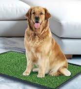 Prevue Pet Products Tinkle Turf Indoor Portable Pee Turf Patch for Dogs - Realistic Grass Potty