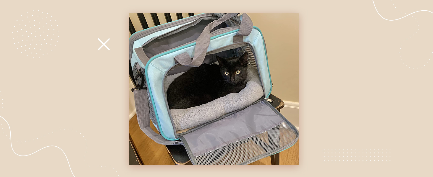 cat mat