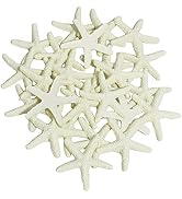 LJY 25 Pieces Beige Resin Pencil Finger Starfish for Wedding Decor, Home Decor and Craft Project,...