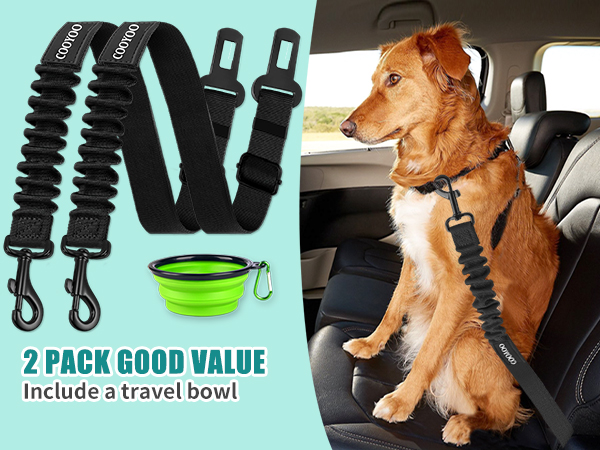 dog seat belt