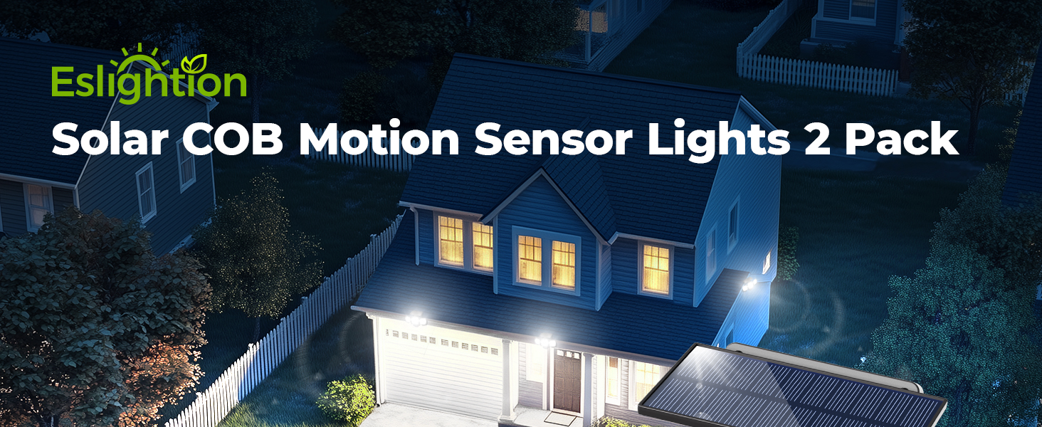 solar motion sensor light