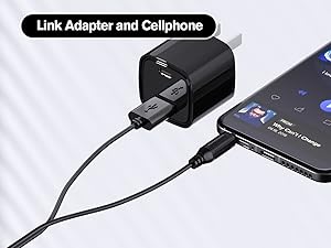 speaker with aux input -- Link Adapter and Cellphone