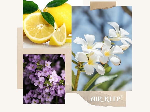reed diffuser