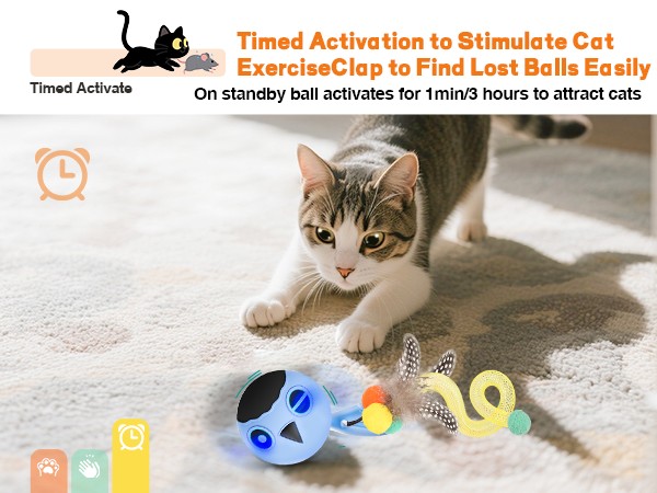 interactive cat toy
