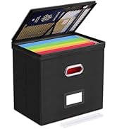 Oterri 1 Pack File Organizer Boxes with Lids, File Box with Mesh Pockets, Document Organizer Box ...