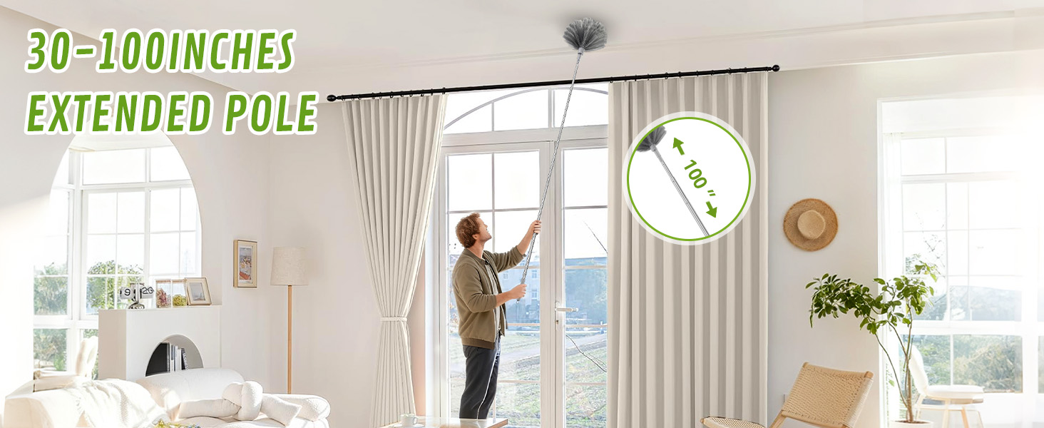 cobweb duster
