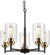 5-Light Chandelier for Dining Room Kitchen Island Modern Farmhouse Pendant Lighting with Clear Gl...