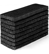 Activated Carbon Filters for Litter-Robot 3, Perfect Replacement Official Size: 3.5x10x0.5 inch (...