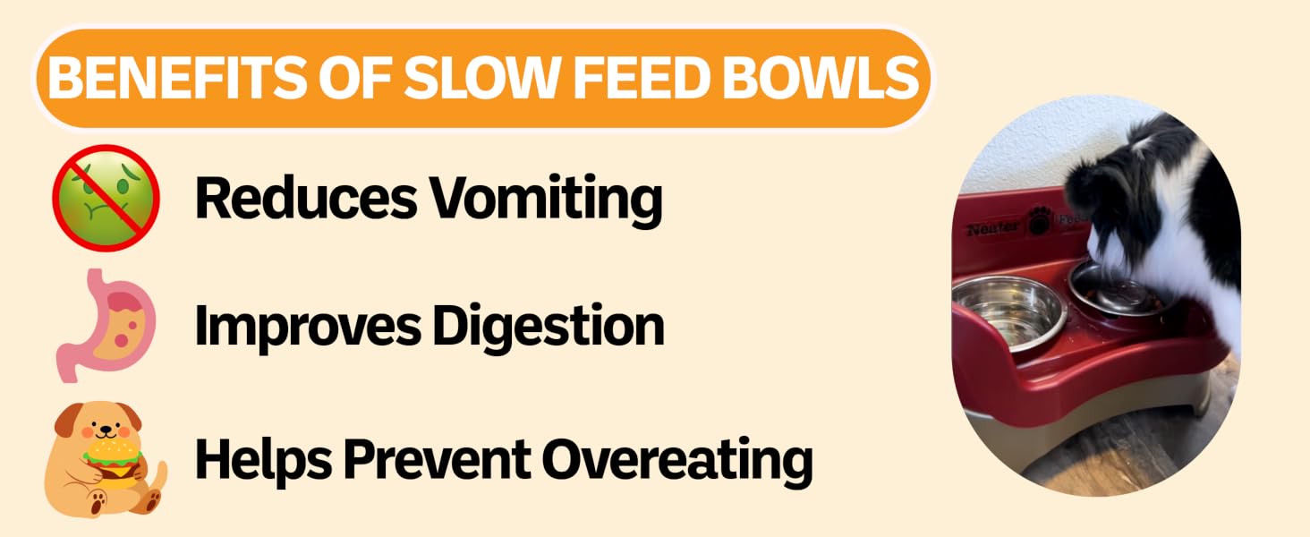 Benefits of using a slow feed bowl