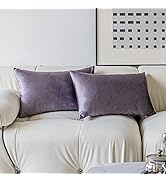 Demetex Purple Throw Pillow Cover Velvet Lumbar Small Throw Pillows Set of 2 Soft Rectangle Pillo...