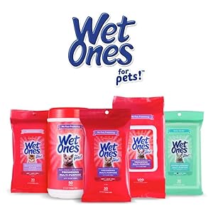 Wet Ones, Pets, Cats, Dog, Wipes, Gentle, Fresh, Puppy, Kitten, Clean, Dander Remove