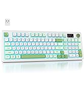 Mosptnspg RGB Mechanical Feel Membrane Wireless Keyboard, Wired/Bluetooth/2.4G Silent ABS Ball Ca...