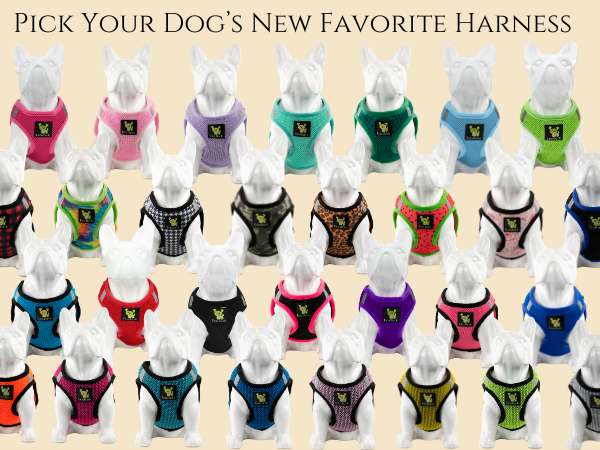 harnesses for dogs pechera para perros medianos small dog harness girl chihuahua harness harness dog