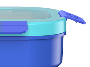 kid lunch bento box