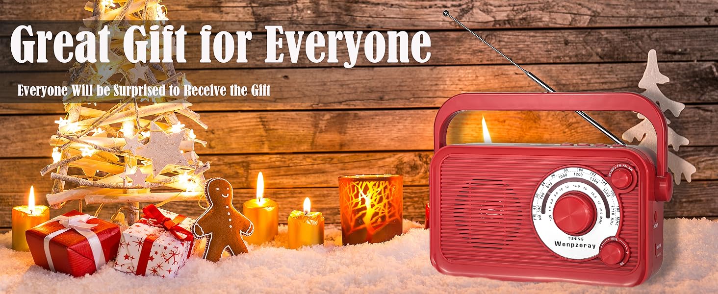 WENPZERAY D218 Portable radio ideal for indoor and outdoor use