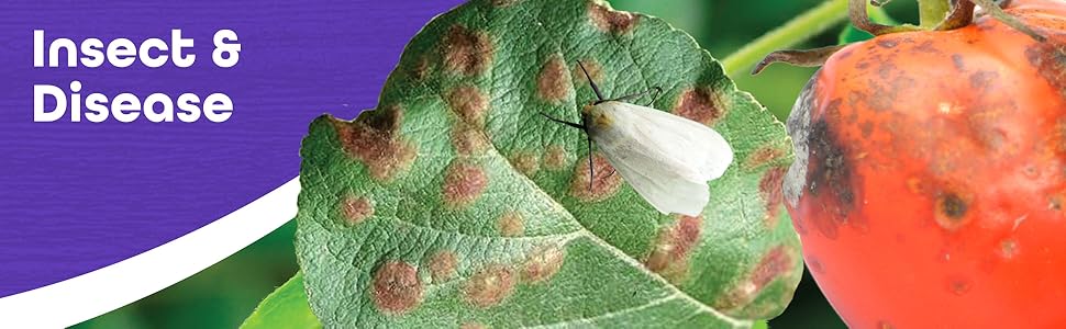 Garden Insect & Disease Control with Images of insects on leaf and tomato