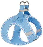 Step-in Small Dog Harness