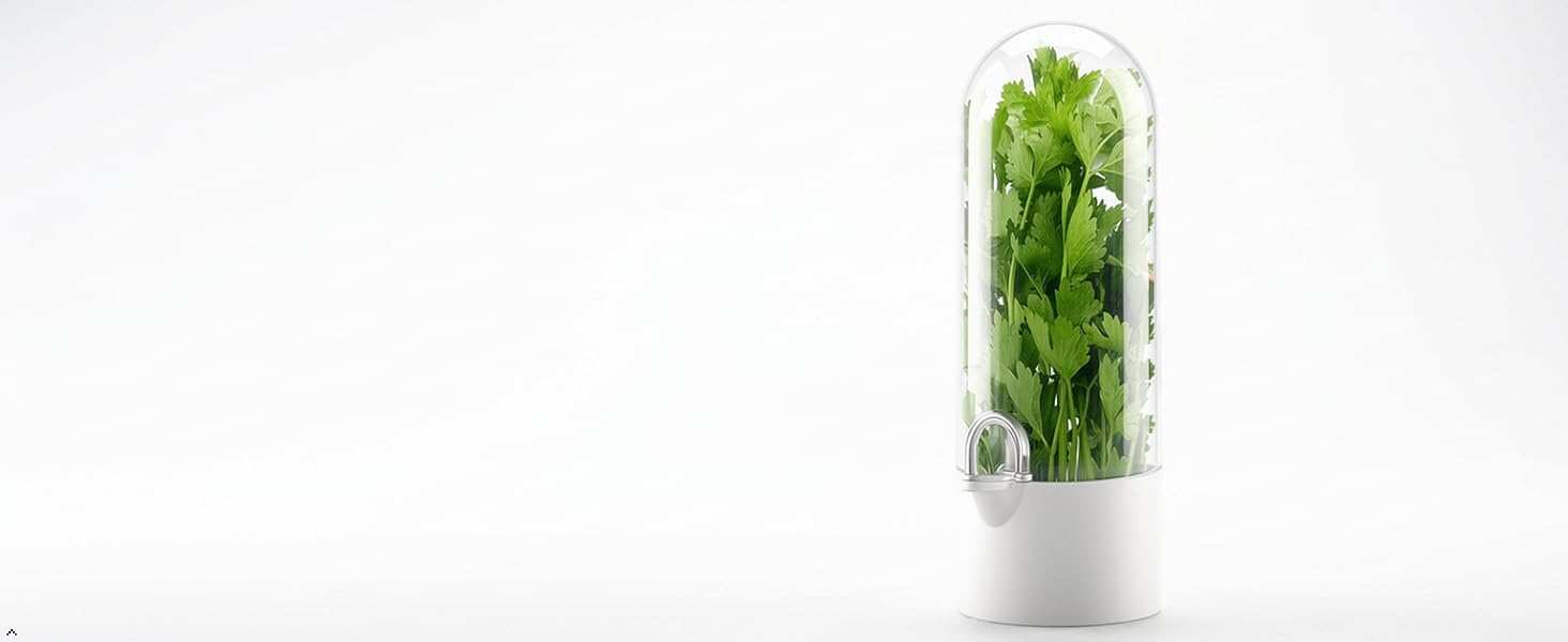 herb saver for refrigerator