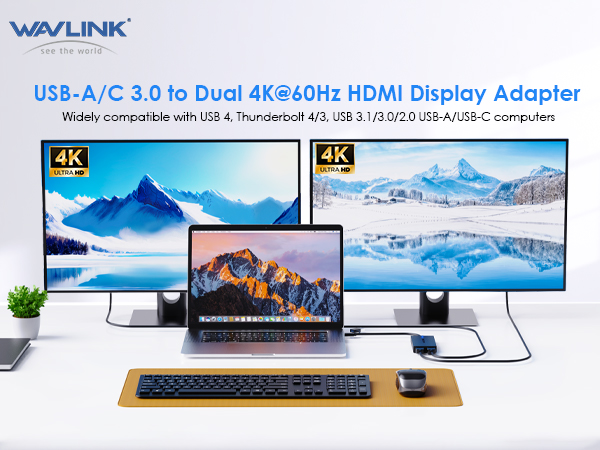 hdmi extender for dual monitors