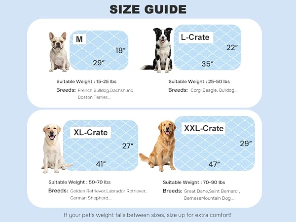 Size Reference