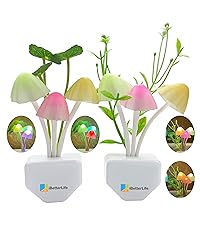 https://m.media-amazon.com/images/S/aplus-media-library-service-media/f19bf27f-6b5a-470e-9552-03ee21000ed0.__CR0,0,2088,2349_PT0_SX200_V1___.jpg
