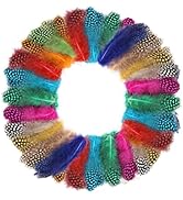 FeelfunFeather 120pcs Colored Spotted Feathers 2-3inch Bulk Small Guinea Fowl Feather for DIY Cra...