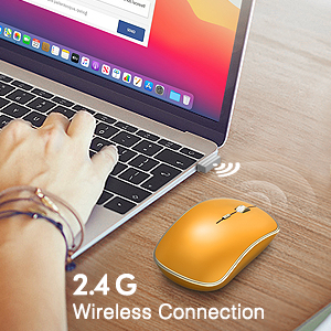 laptop mouse