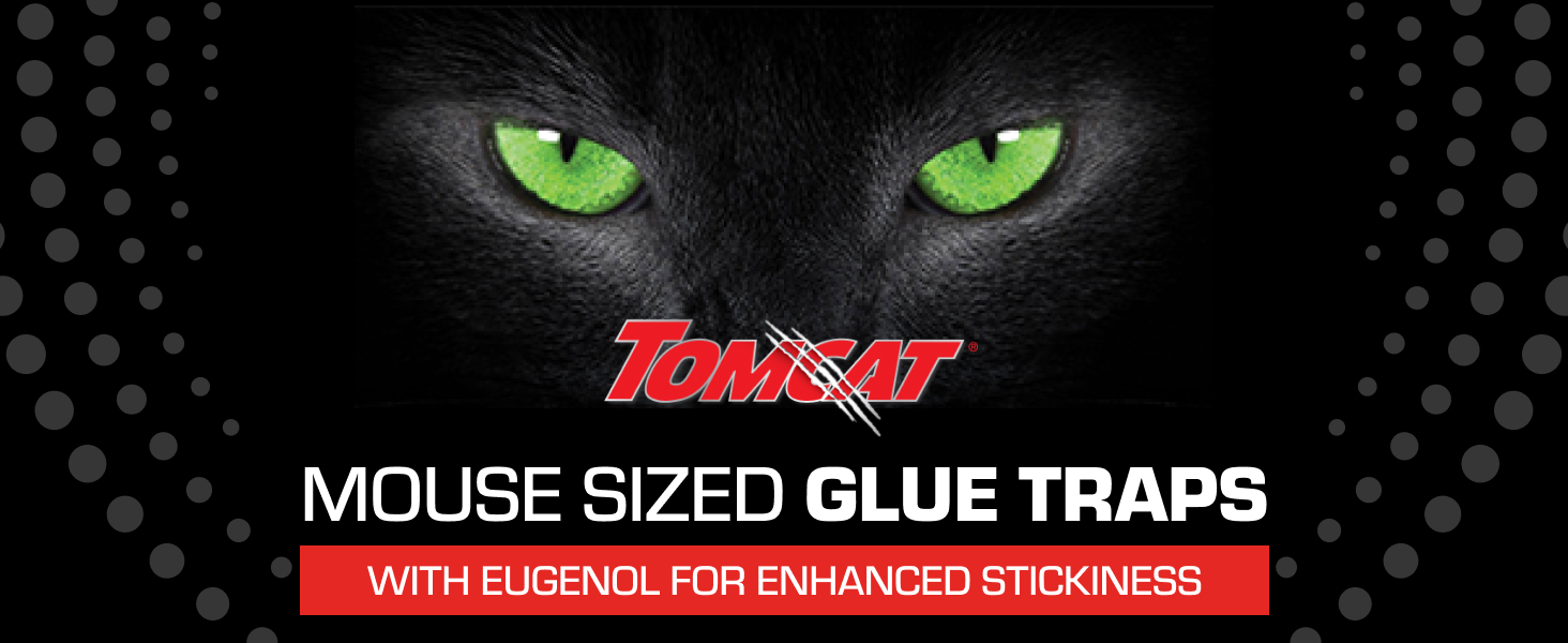 Tomcat Glue Traps Mouse Size with Eugenol