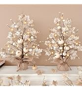Timer - Fall Decor 2 Pack 18 Inch Lighted Fall Maples Tree, Fall Decorations for Home with White ...