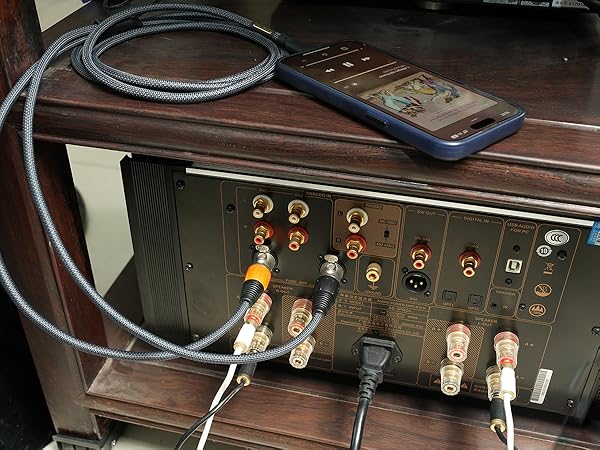 XLR MALE TO USB C