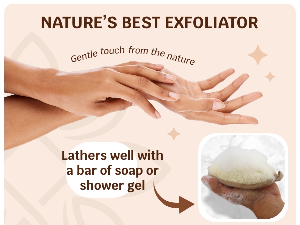 Loofah Pad