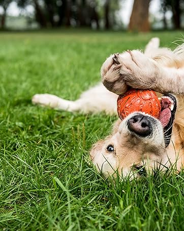 https://m.media-amazon.com/images/S/aplus-media-library-service-media/4b90cfdd-7327-41e2-b7ee-873a277ca1b6.__CR1400,0,3200,4004_PT0_SX362_V1___.jpeg