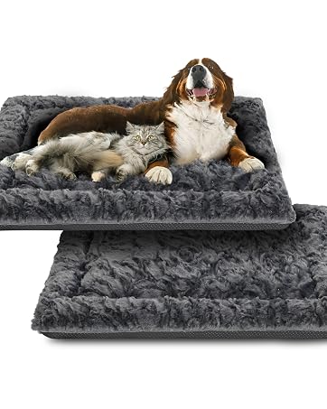 dog bed