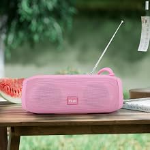 FM Speaker