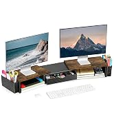 Dual Monitor Stand