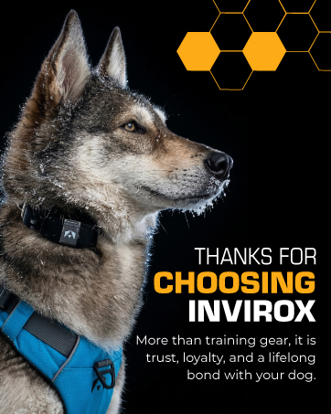 Invirox