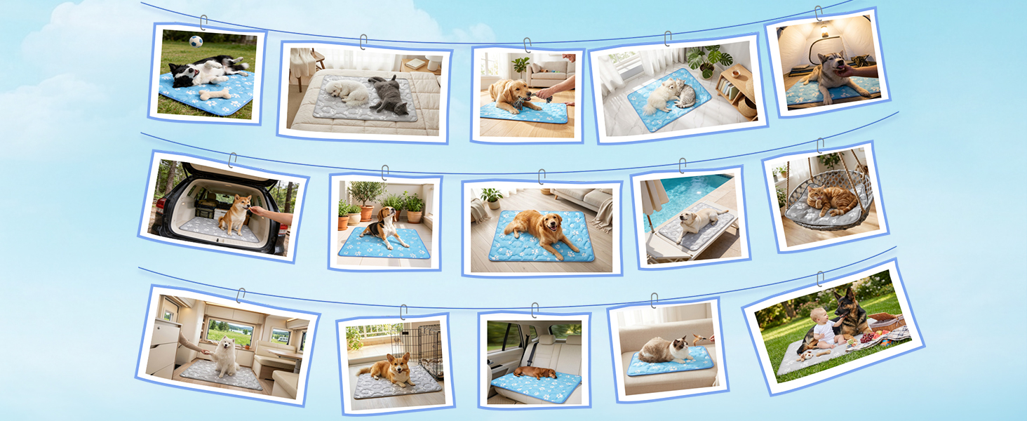 dog cooling mat