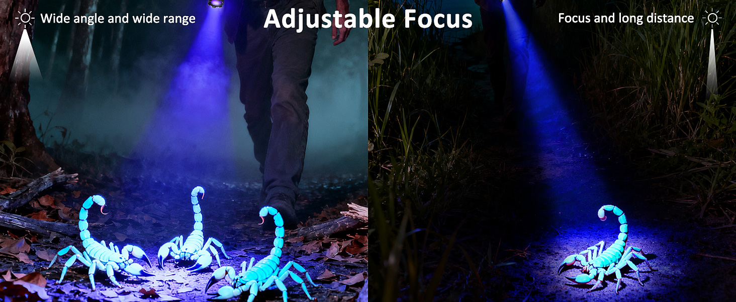 uv light flashlight