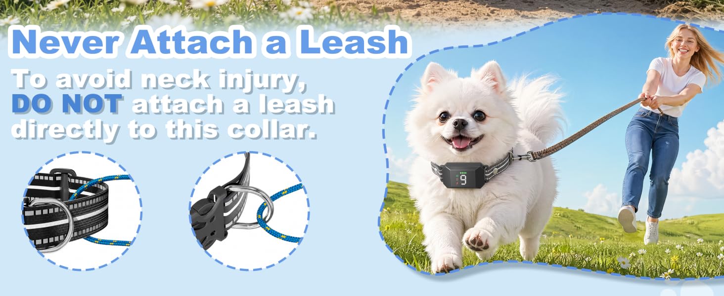 Small Shock Collar for Dogs