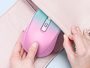 portable mouse wireless