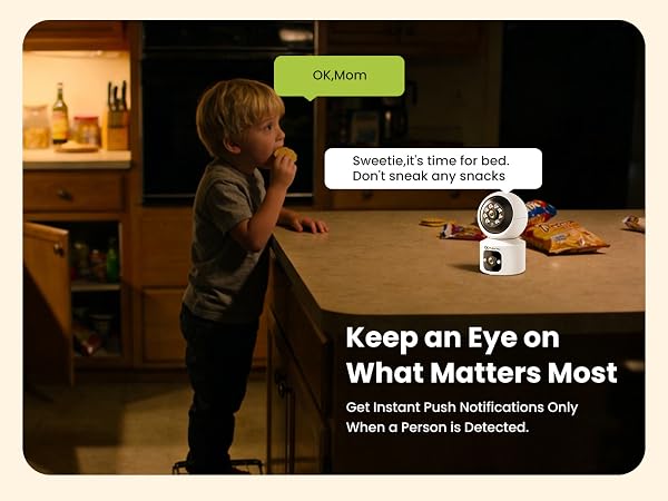 home cameras indoor